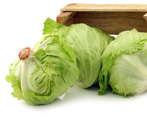 قیمت روز کاهو پیچ